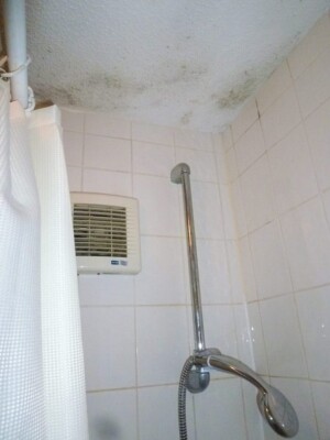 Before full bathroom rebuild - before